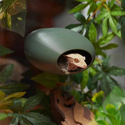 Stoodies BubbleLoft Gecko Hideout, обычный взрослый