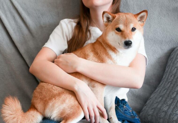 a-woman-hugging-her-pet-shiba-inu