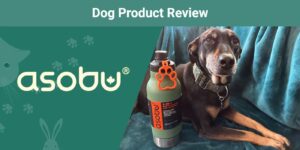 Read more about the article Обзор продукта для собак Asobu Green Buddy Bottle 2023: Мнение нашего ветеринара