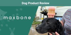 Read more about the article Maxbone Deep Cleanse Shampoo Dispensing Brush обзор 2023 года: Мнение нашего ветеринара