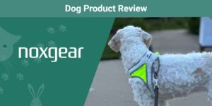 Read more about the article Noxgear LightHound LED Dog Harness Review 2023: Плюсы, минусы и окончательный вердикт