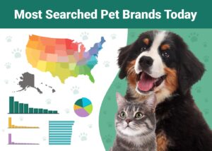 Read more about the article 30 самых востребованных брендов домашних животных в США: статистика за 2023 год