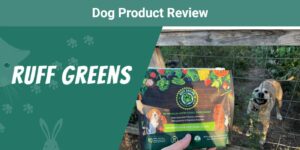 Read more about the article Обзор добавок для собак премиум-класса Ruff Greens, 2023 год: плюсы, минусы и вердикт