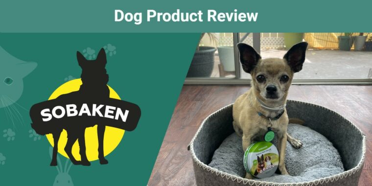 Sobaken Flea & Tick Collar Review SAPR