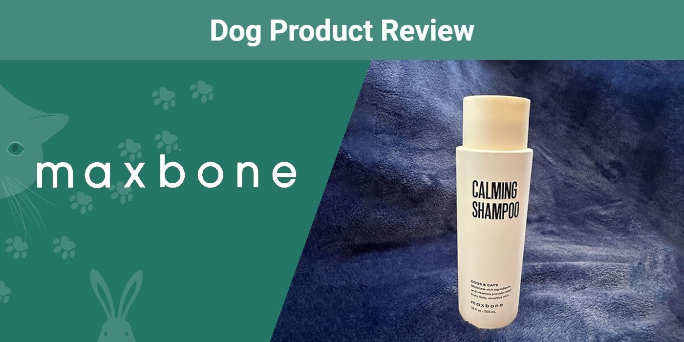 You are currently viewing Maxbone Calming Dog Shampoo обзор 2023 года: Мнение нашего ветеринара