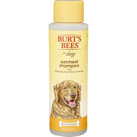 Овсяный шампунь Burt's Bees с коллоидной овсяной мукой и медом для собак