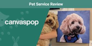 Read more about the article Обзор персонализированных портретов домашних животных Canvaspop 2023: мнение нашего эксперта