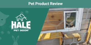 Read more about the article Обзор дверей Hale Pet Door 2023: мнение нашего эксперта