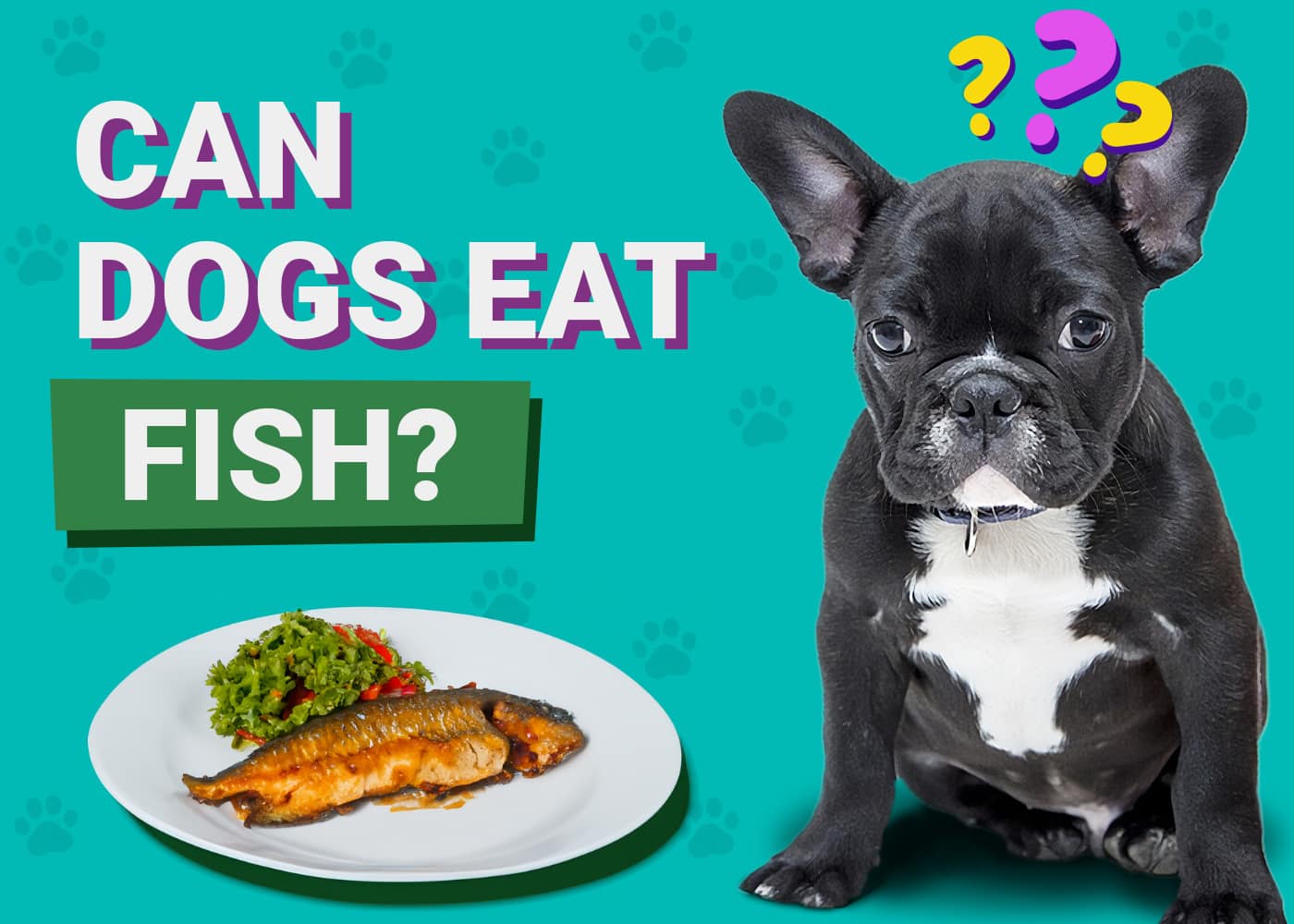 Read more about the article Могут ли собаки есть рыбу?  Одобренные ветеринаром факты и часто задаваемые вопросы
