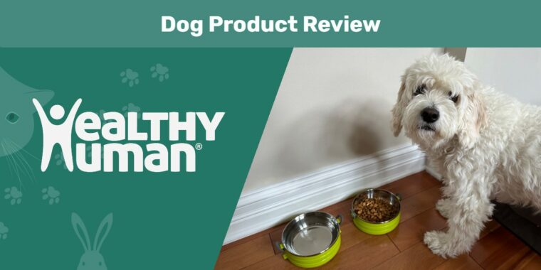 Healthy-Human-Travel-Pet-Bento-Bowl-Review-SAPR-FT