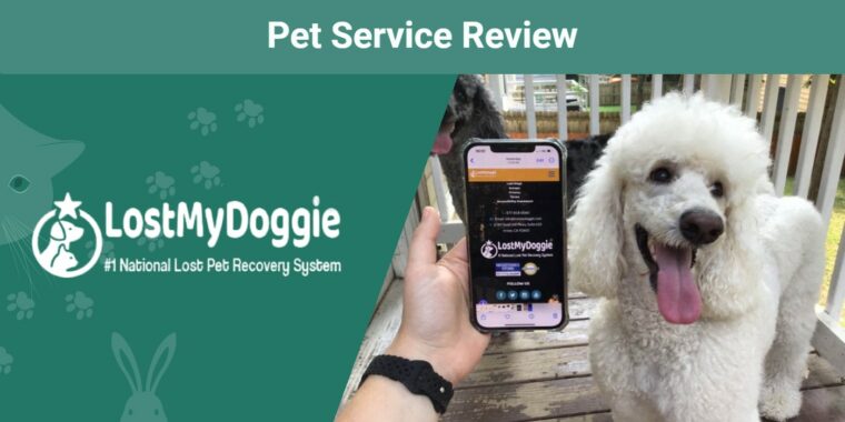 Lost-My-Doggie-Pet-Recovery-Service-SAPR-FT-Обзор