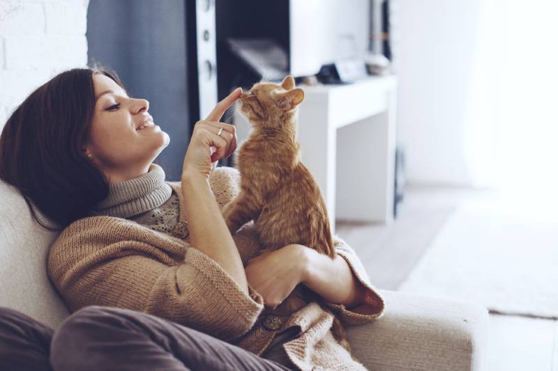 Однажды осенним днем ​​молодая женщина в теплом свитере отдыхает дома с котом в кресле.