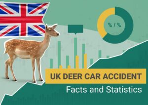 Read more about the article 10 статистических данных о автомобильных авариях с оленями в Великобритании, которые нужно знать в 2023 году