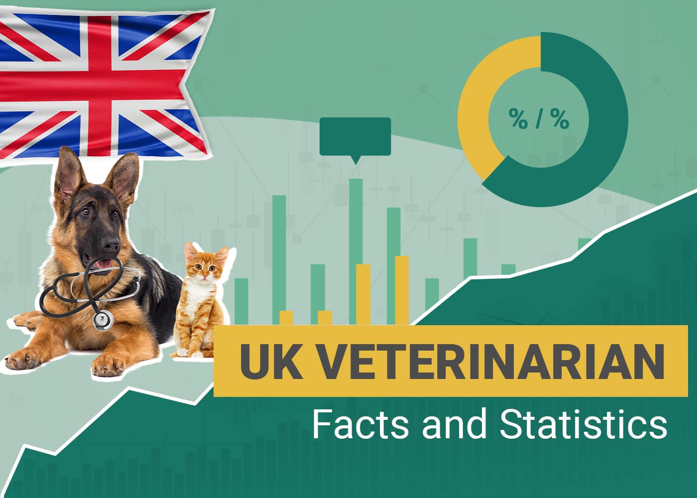 Read more about the article 11 интересных статистических данных и фактов о ветеринарах в Великобритании в 2023 году