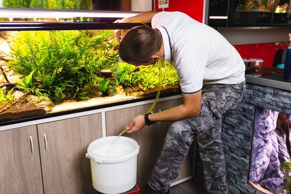 Мужчина чистит и меняет воду в аквариуме